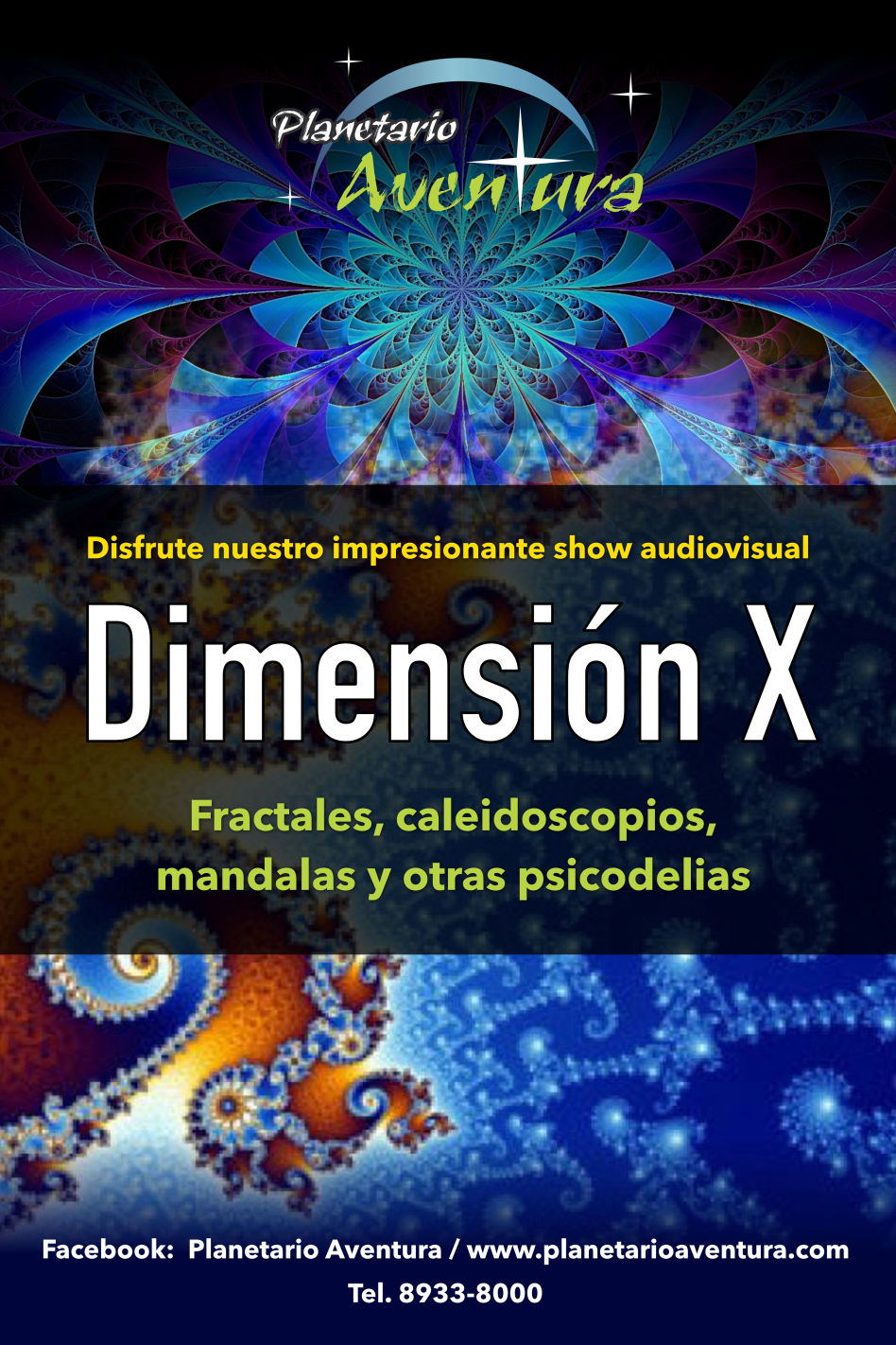 Dimensión X